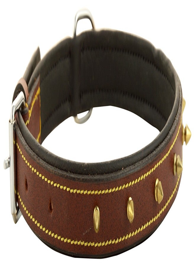Skora Export Quality Genuine Brass Spiked Leather Dog Collar - 1 Inch (ML) Dog Everyday Collar (Medium, Brown) - Image 4